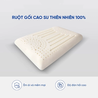 Gối cao su Gummi Evora 100% thiên nhiên massage thoáng khí - Ảnh 5