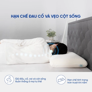 Gối cao su Gummi Evora 100% thiên nhiên massage thoáng khí - Ảnh 7