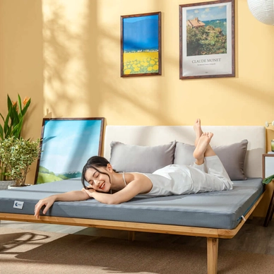 Nệm foam Goodnight Osaka massage lượn sóng dày 9cm - Ảnh 7