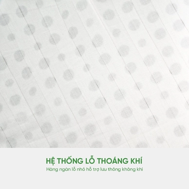 Nệm cao su cao cấp Gummi Legend nhập khẩu dày 20cm - Ảnh 5