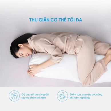 Ruột gối ôm Doona Microfiber CC - Ảnh 6