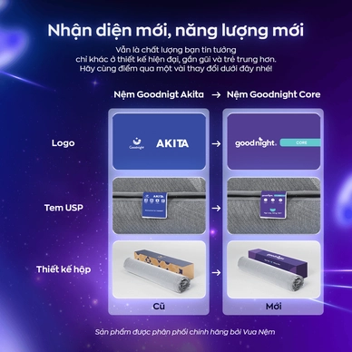 Nệm foam Goodnight Core (Akita) gấp 3 dày 8cm - Ảnh 3