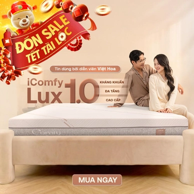 Nệm foam làm mát, kháng khuẩn nâng đỡ 5 vùng Comfy Lux 1.0 - Ảnh 2