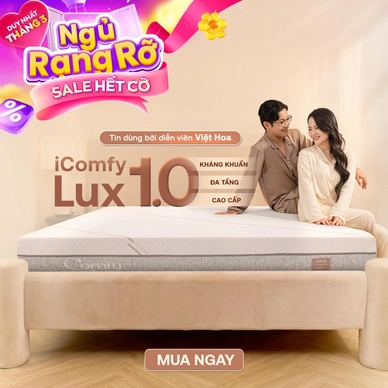 Nệm foam làm mát, kháng khuẩn nâng đỡ 5 vùng Comfy Lux 1.0 - Ảnh 2
