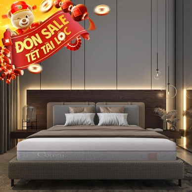 Nệm foam Comfy Lux 3.0 cao cấp tương thích toàn diện dày 25cm - Ảnh 2