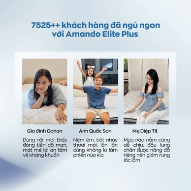 Nệm lò xo túi độc lập Amando Elite Plus giảm tiếng ồn dày 25cm - Ảnh 7
