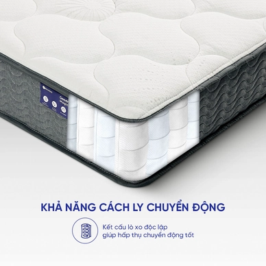 Nệm lò xo Amando Goodnight Magic giá tốt dày 20cm - Ảnh 16