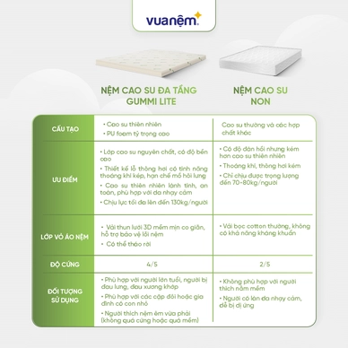 Nệm cao su đa tầng Gummi Lite giá tốt dày 10cm - Ảnh 5