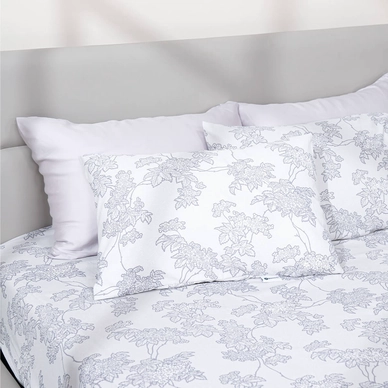 Bộ ga chun tencel Amando Celia 4 chi tiết TP007 - Ảnh 7