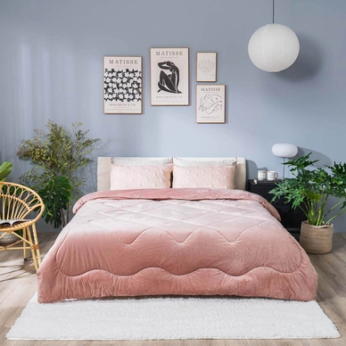 Chăn đại hàn nhung tuyết giữ ấm Amando Warm Flannel (SS25) - Ảnh 5