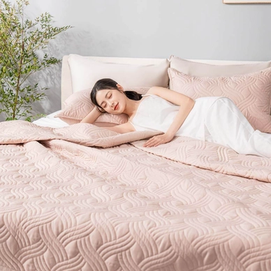Bộ chăn chần, vỏ gối Microfiber mềm mại, kháng khuẩn Amando Luna 3 chi tiết - Ảnh 8