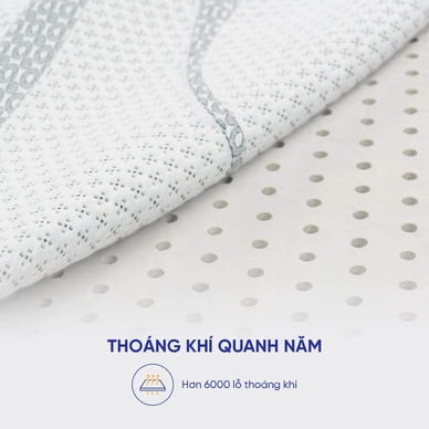 Nệm cao su thiên nhiên Gummi Premium detox giấc ngủ dày 10cm - Ảnh 9