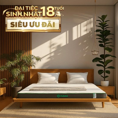 Nệm cao su thiên nhiên Gummi Premium detox giấc ngủ dày 10cm - Ảnh 2