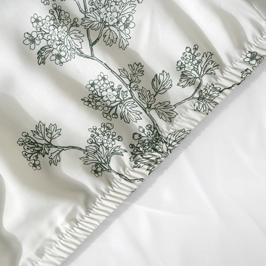 Bộ ga chun sợi gỗ thiên nhiên tencel Amando Aleena 4 chi tiết - Ảnh 42