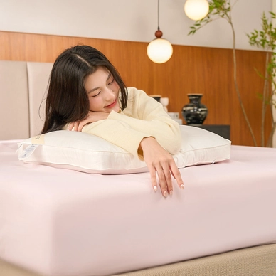 Bộ ga chun sợi gỗ thiên nhiên tencel Amando Aleena 4 chi tiết - Ảnh 91