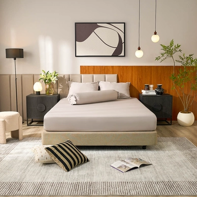 Bộ ga chun sợi gỗ thiên nhiên tencel Amando Aleena 4 chi tiết - Ảnh 67