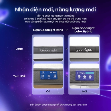 Nệm cao su đa tầng Goodnight Latex Hybrid (Rena) vững chắc, thông thoáng dày 10cm - Ảnh 3