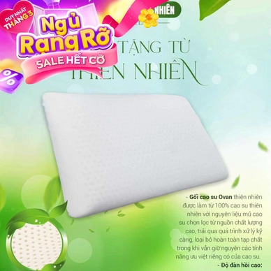 Gối Cao su Dreamland Ovan - Ảnh 2