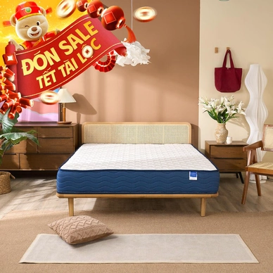 Nệm lò xo Dream Spring cách ly chuyển động dày 25cm (hàng xả) - Ảnh 2