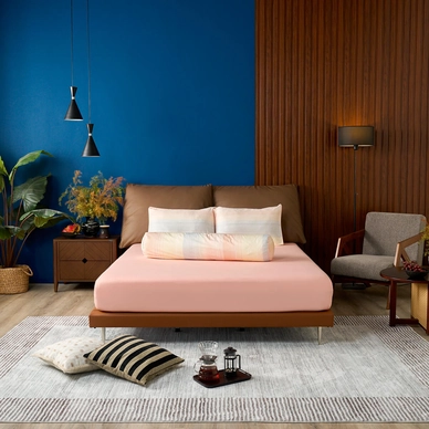 Bộ Ga chun Amando Comfort Cotton Select - Ảnh 78