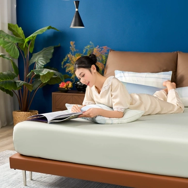 Bộ Ga chun Amando Comfort Cotton Select - Ảnh 31