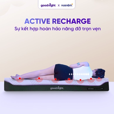 Nệm foam công nghệ Đức Goodnight Active Hybrid dày 20cm - Ảnh 13