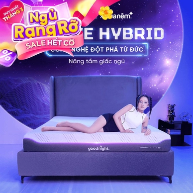 Nệm foam công nghệ Đức Goodnight Active Hybrid dày 20cm - Ảnh 2