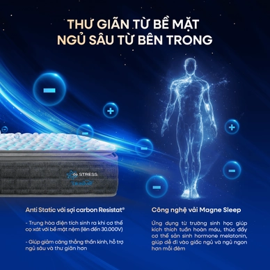 Nệm lò xo Dunlopillo de.Stress Energy công nghệ cách ly chuyển động - Ảnh 10