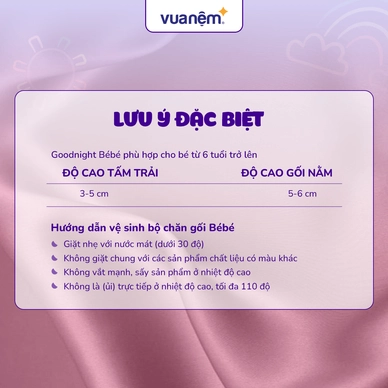 Bộ tấm trải trẻ em đi học Goodnight Deepsleep Khủng Long TC001 - Ảnh 8