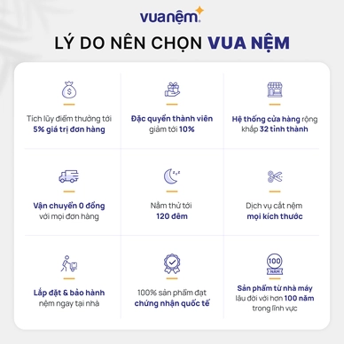Nệm foam tổng hợp Kim Cương Erica Smart Tech dày 15cm - Ảnh 8
