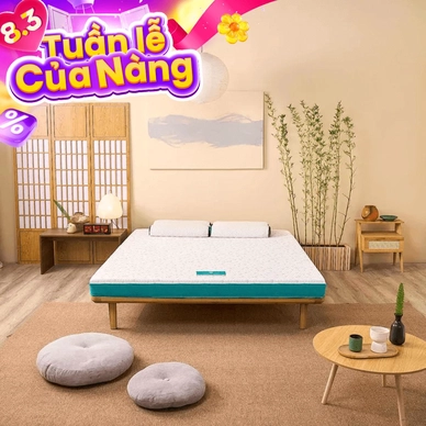 Nệm foam Nhật Bản Aeroflow Standard nâng đỡ cơ thể dày 12cm - Thumbnail