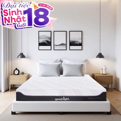 Nệm foam công nghệ Đức Goodnight Active Hybrid dày 20cm - Thumbnail