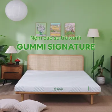 Nệm Gummi Signature – Công nghệ kép, nâng đỡ vượt trội, kháng khuẩn tối đa - Video