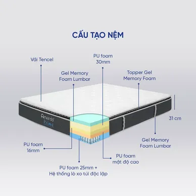 Nệm lò xo Amando Primo cao cấp dày 31cm - Ảnh 4