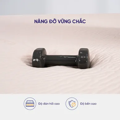 Nệm cao su thiên nhiên Liên Á Classic dày 5/10cm - Ảnh 5
