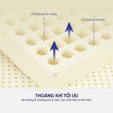Nệm cao su thiên nhiên Liên Á Classic dày 5/10cm - Ảnh 4