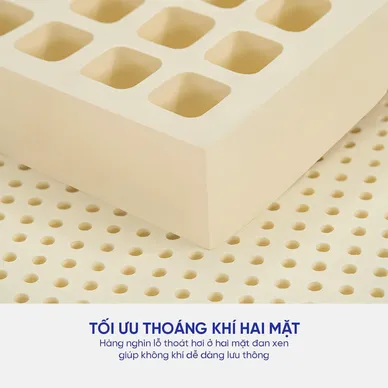 Nệm cao su Kim Cương Happy Gold dày 5/10/15cm - Ảnh 8
