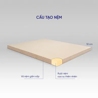 Nệm cao su Kim Cương Happy Gold dày 5/10/15cm - Ảnh 4