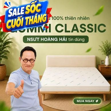 Nệm cao su thiên nhiên Gummi Classic thế hệ mới dày 5/10/15cm - Ảnh 2
