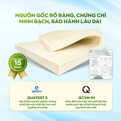 Nệm cao su thiên nhiên Gummi Classic thế hệ mới dày 5/10/15cm - Ảnh 8