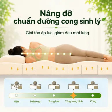 Nệm cao su thiên nhiên Gummi Classic thế hệ mới dày 5/10/15cm - Ảnh 6
