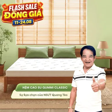 (Quà 8 món) Nệm cao su thiên nhiên Gummi Classic thế hệ mới dày 5/10/15cm - Ảnh 2