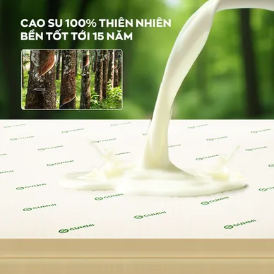 Nệm cao su thiên nhiên Gummi Classic thế hệ mới dày 5/10/15cm - Ảnh 7