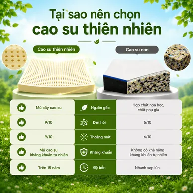 Nệm cao su thiên nhiên Gummi Classic thế hệ mới dày 5/10/15cm - Ảnh 12