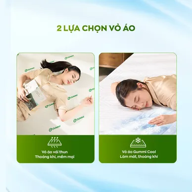 Nệm cao su thiên nhiên Gummi Classic thế hệ mới dày 5/10/15cm - Ảnh 6