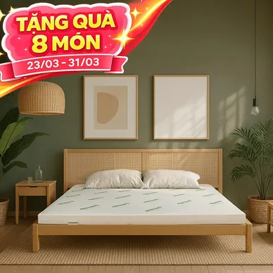 Nệm cao su thiên nhiên Gummi Classic thế hệ mới dày 5/10/15cm - Ảnh 2