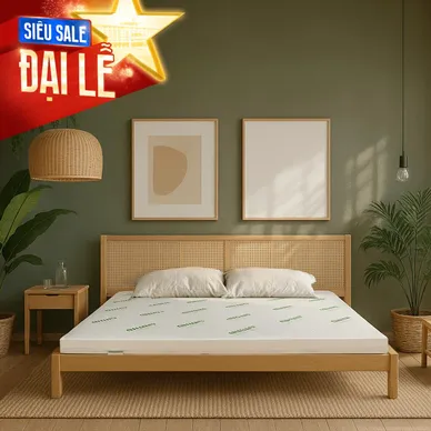 Nệm cao su thiên nhiên Gummi Classic thế hệ mới dày 5/10/15cm - Ảnh 2