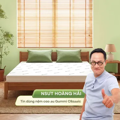 (Giảm 4,5 triệu) Nệm cao su thiên nhiên Gummi Classic thế hệ mới dày 5/10/15cm - Ảnh 2