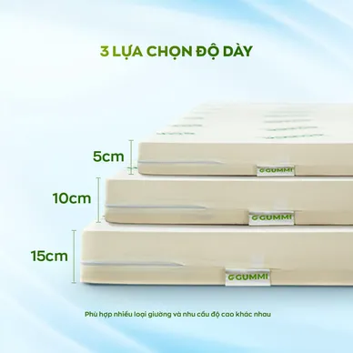 Nệm cao su thiên nhiên Gummi Classic thế hệ mới dày 5/10/15cm - Ảnh 9