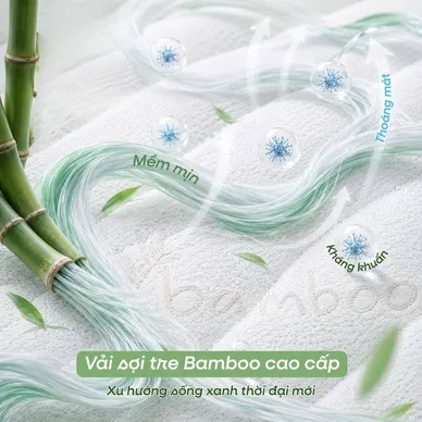 Nệm cao su Gummi 7zones nhập khẩu dày 12cm - Ảnh 9